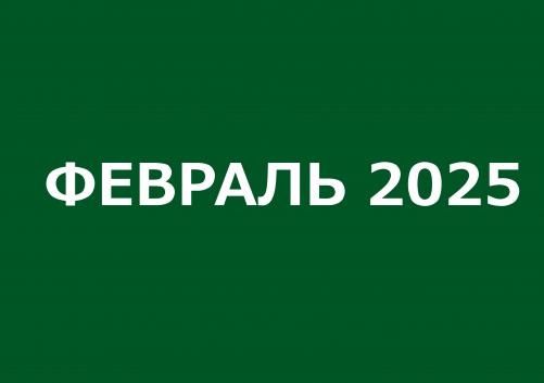 Заседания комитетов февраль 2025 года 